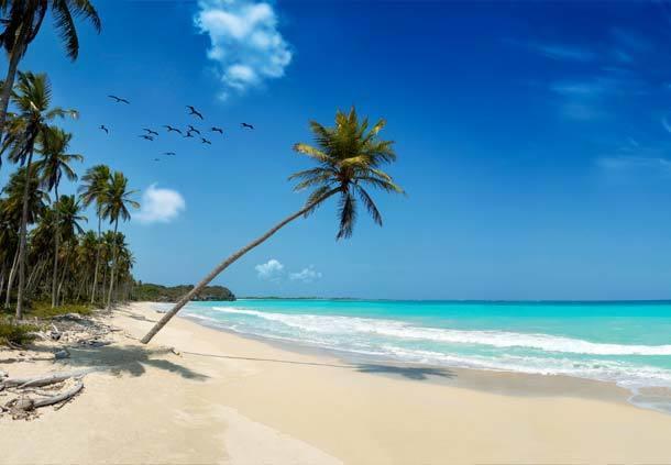 Mangro Hotel Diani Beach Εξωτερικό φωτογραφία